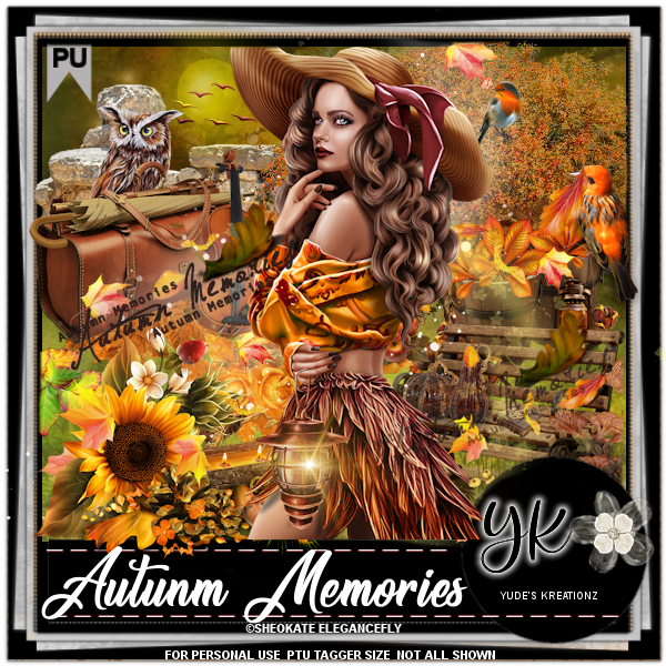 (image for) Autunm Memories